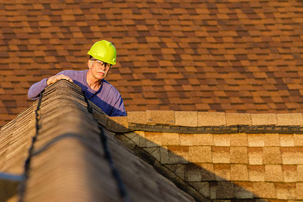 Roof Gutter Cleaning in Lester Prairie, MN